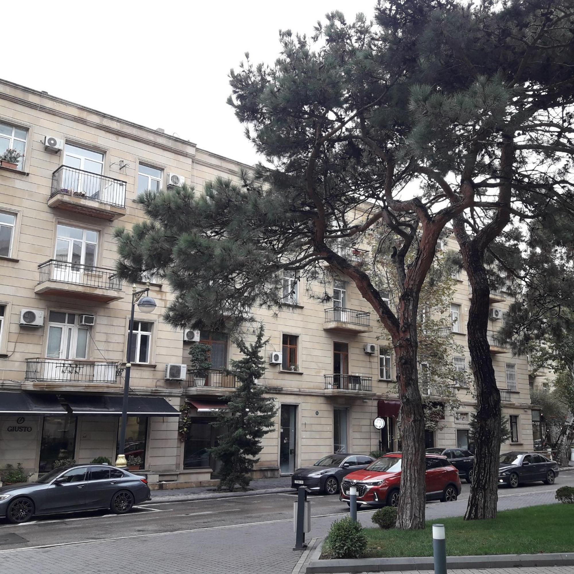 Apartment Niyazi 5 Bakú Exterior foto